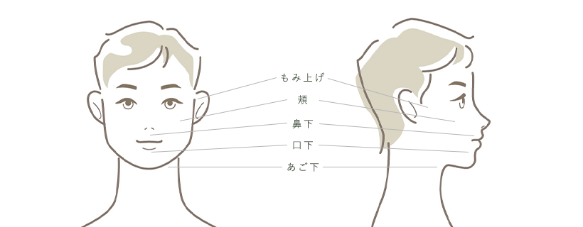 男性用脱毛メニューの施術箇所イメージ